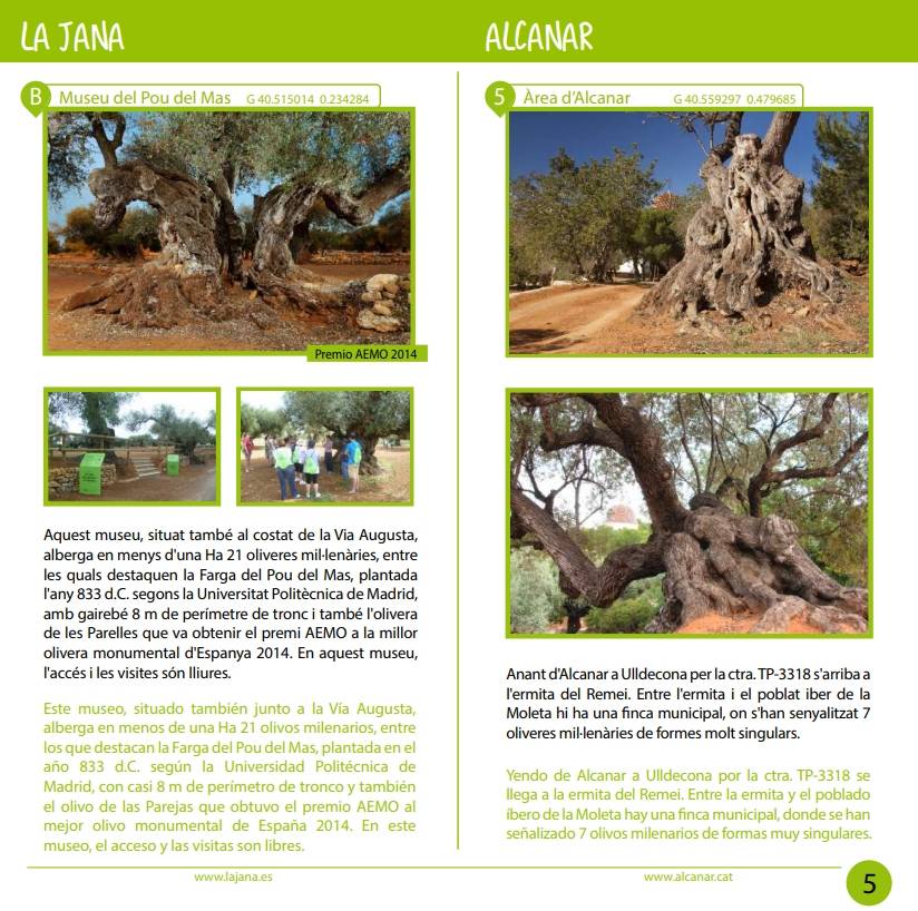 Editen un opuscle per facilitar la visita a les oliveres mil�len�ries del Territori S�nia | EbreActiu.cat, revista digital d&rsquo;oci actiu | Terres de l&rsquo;Ebre ...