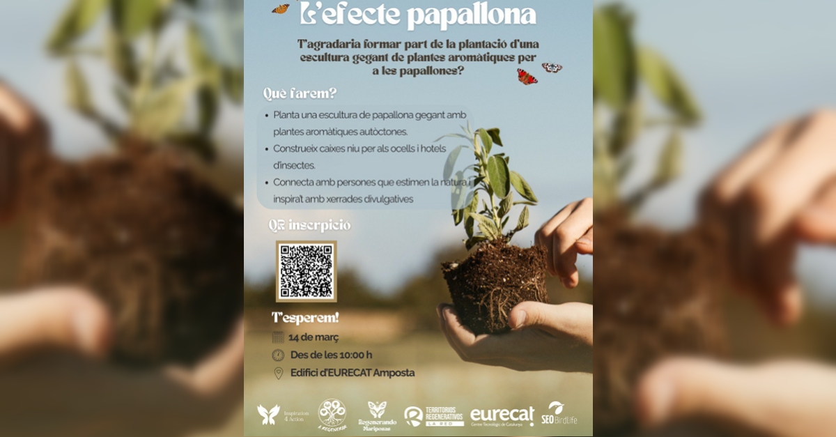 L�efecte papallona