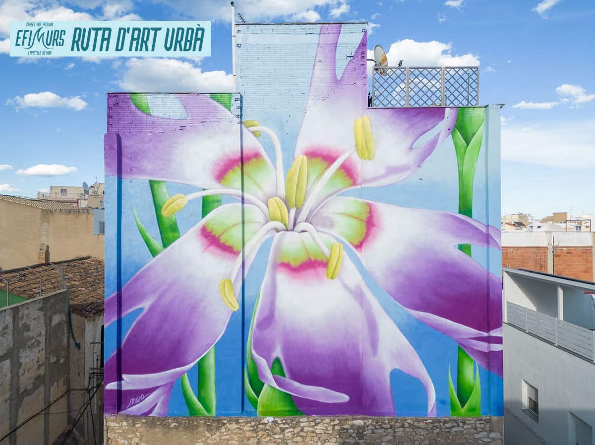 �Ef�murs� una manera diferent de visitar l&rsquo;Ametlla de Mar | EbreActiu.cat, revista digital d&rsquo;oci actiu | Terres de l&rsquo;Ebre ...