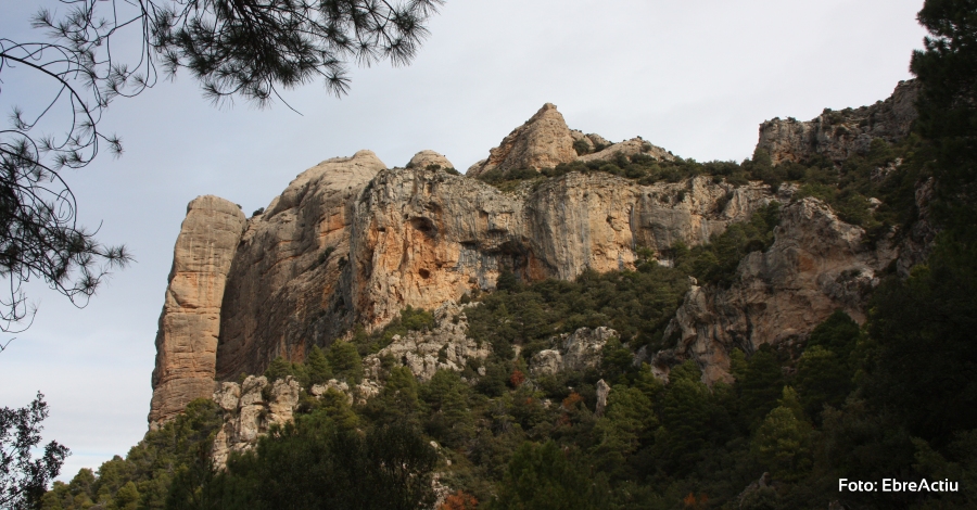 El castell de Sant Benet i el seu entorn El castell de Sant Benet i el seu entorn