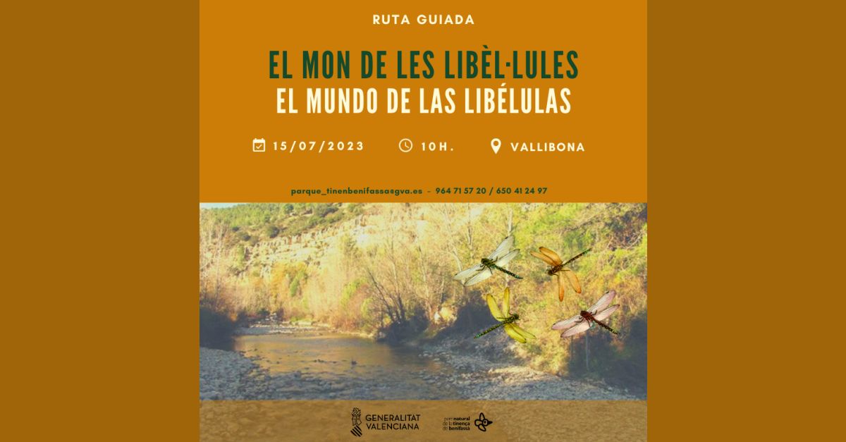El m�n de les ib�l�lules