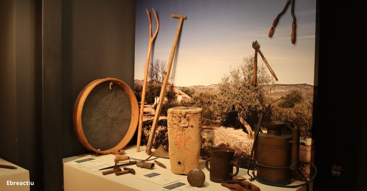 El poder dels museus, el lema d’enguany del Dia Internacional dels Museus | EbreActiu.cat, revista digital d’oci actiu | Terres de l’Ebre ...