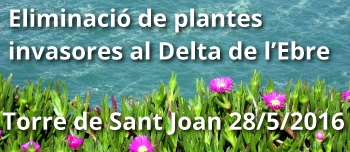 Eliminaci� de plantes invasores al Delta de l�Ebre