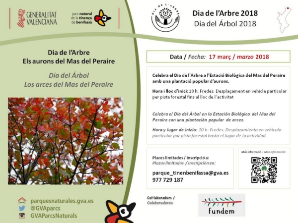 Sortida: Els aurons del Mas del Peraire Sortida: Els aurons del Mas del Peraire