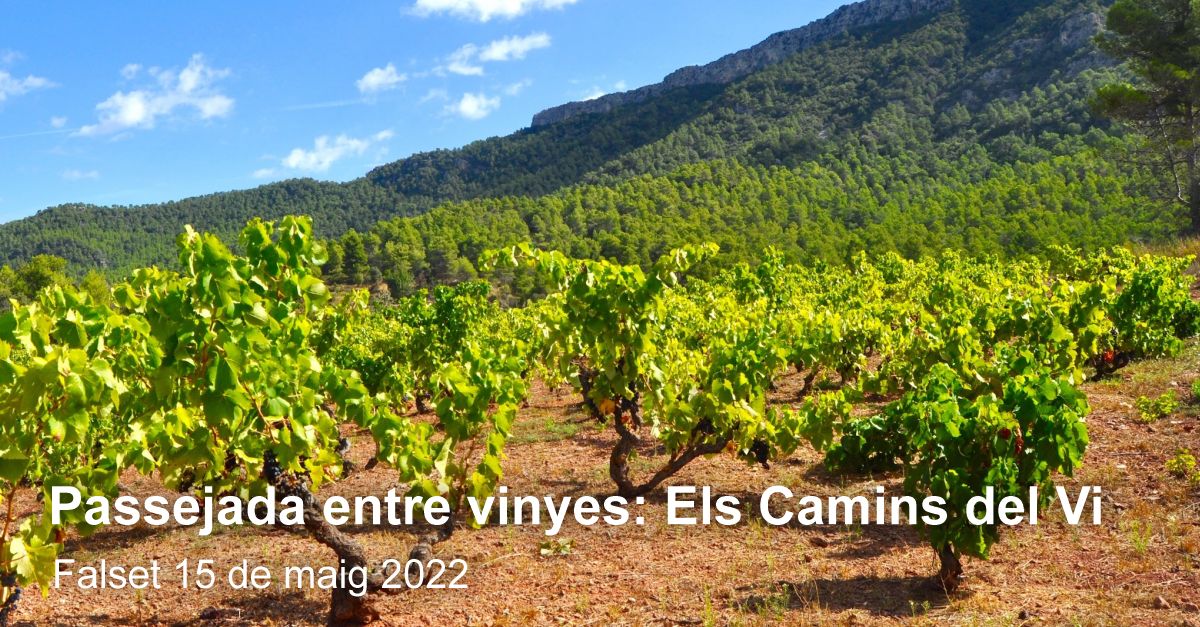 Els camins del vi, paseo entre vi�as