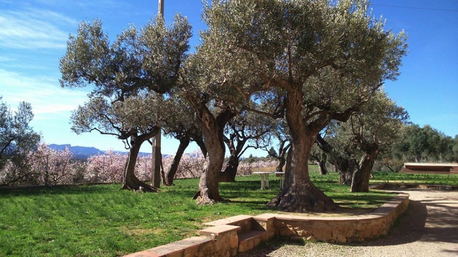 Casa de colònies Els Olivers | EbreActiu.cat, revista digital d’oci actiu | Terres de l’Ebre ... Casa de colònies Els Olivers | EbreActiu.cat, revista digital d’oci actiu | Terres de l’Ebre ...