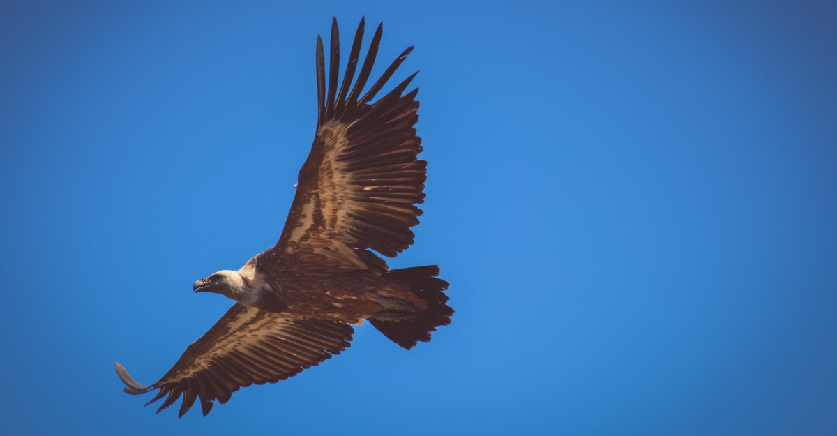 Els Ports �s aut�ntic | EbreActiu.cat, revista digital d&rsquo;oci actiu | Terres de l&rsquo;Ebre ...