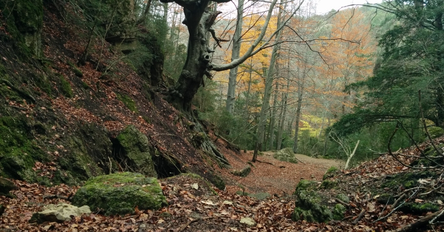 Els Ports, nova Destinaci de Natura i Muntanya en Famlia | EbreActiu.cat, revista digital d’oci actiu | Terres de l’Ebre ...