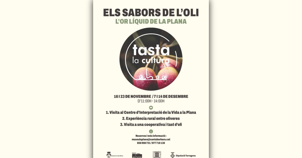 Els sabors de l�oli. L�or l�quid de la Plana