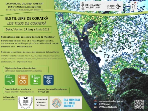 Sortida: Els til·lers de Coratxà Sortida: Els til·lers de Coratxà