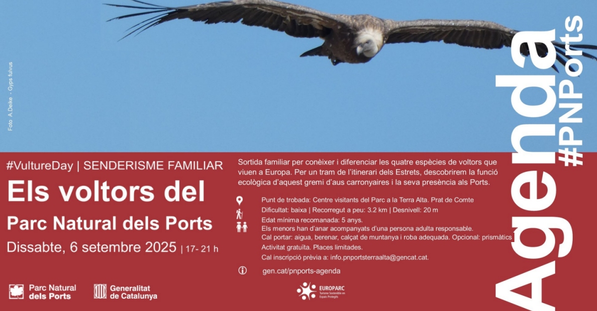 Senderismo familiar: Los buitres del Parque Natural dels Ports
