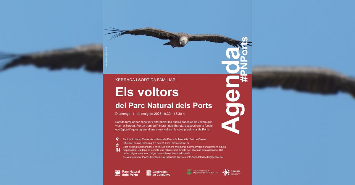 Xerrada i sortida familiar: els voltors del Parc Natural dels Ports