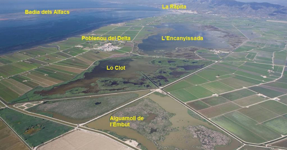 La Generalitat declara l&rsquo;Illa de Mar i l&rsquo;Embut reserves naturals de fauna salvatge | EbreActiu.cat, revista digital d&rsquo;oci actiu | Terres de l&rsquo;Ebre ...