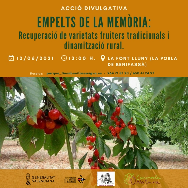 Empelts de la memòria: Recuperació de varietats fruiters tradicionals i dinamització rural Empelts de la memòria: Recuperació de varietats fruiters tradicionals i dinamització rural