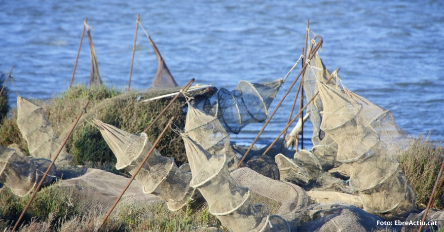 En marxa el 19è concurs de fotografia de les Terres de l’Ebre | EbreActiu.cat, revista digital d’oci actiu | Terres de l’Ebre ... En marxa el 19è concurs de fotografia de les Terres de l’Ebre | EbreActiu.cat, revista digital d’oci actiu | Terres de l’Ebre ...