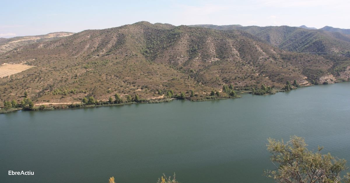 Endesa reduir el cabal final de l’Ebre durant tres dies per permetre els primers tractaments contra la mosca negra
