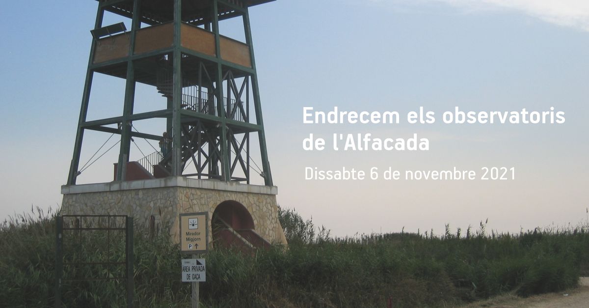 Arreglemos los observatorios de la Alfacada