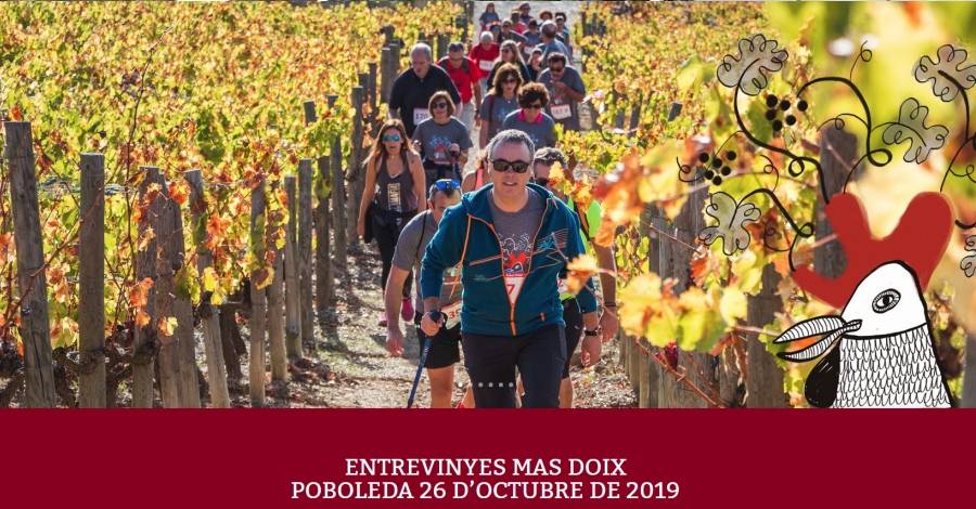 Entrevinyes Mas Doix Entrevinyes Mas Doix