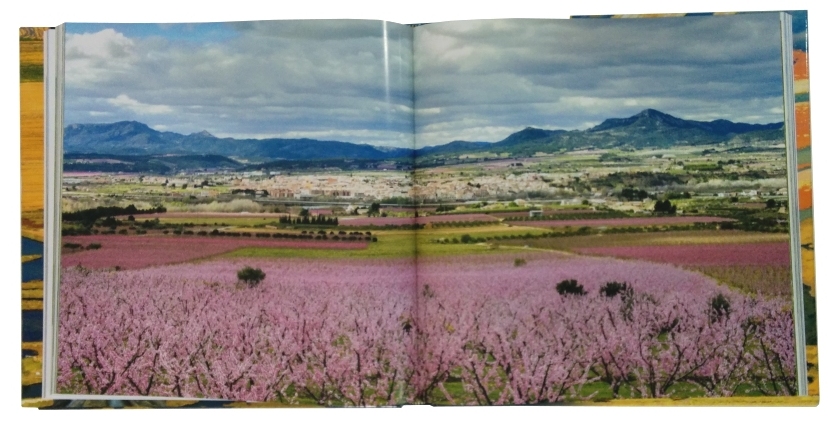Vicent Pellicer: �Intento de veure els paisatges amb el cor, per poder copsar-ne l&rsquo;ess�ncia� | EbreActiu.cat, revista digital d&rsquo;oci actiu | Terres de l&rsquo;Ebre ...