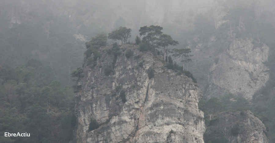 L’episodi de precipitaci deixa ms de 250 mm al masss dels Ports | EbreActiu.cat, revista digital d’oci actiu | Terres de l’Ebre ...