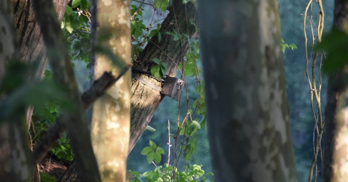 Es busquen 150 amants de la natura per fer de detectius de mamfers | EbreActiu.cat, revista digital d’oci actiu | Terres de l’Ebre ...