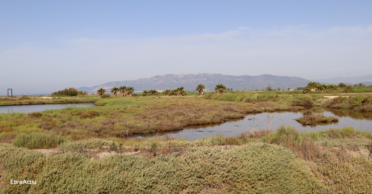 Es constitueix la Taula de voluntariat del Delta de l’Ebre