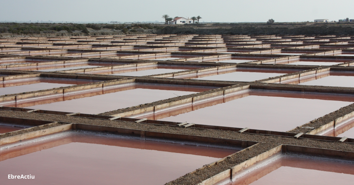 El nou clster d’Economia Blava del Delta de l’Ebre reivindica el paper mediambiental de les empreses