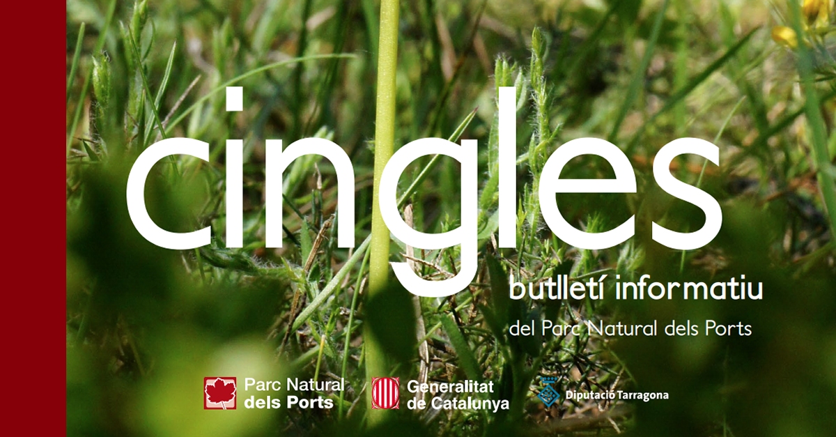 Es publica el primer butllet electrnic e-Cingles