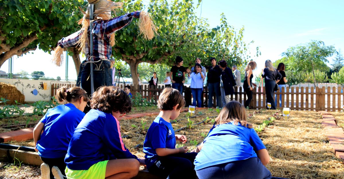 Alumnes de lEscola 21 dAbril de lAldea, premiats pel seu hort ecolgic