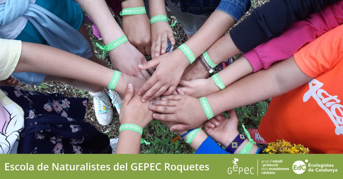Escola de Naturalistes del GEPEC Roquetes Escola de Naturalistes del GEPEC Roquetes