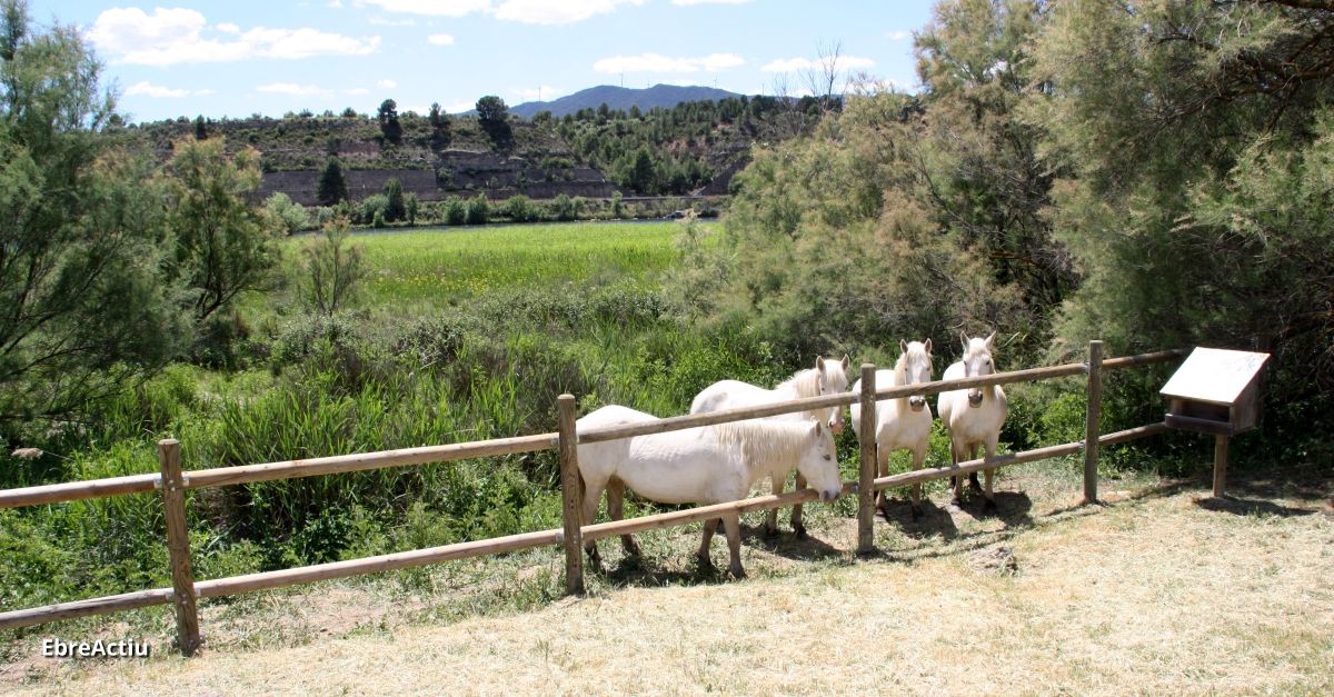 El Grup de Natura Freixe rep una donaci de 5.100  de la Escula de Varilleros
