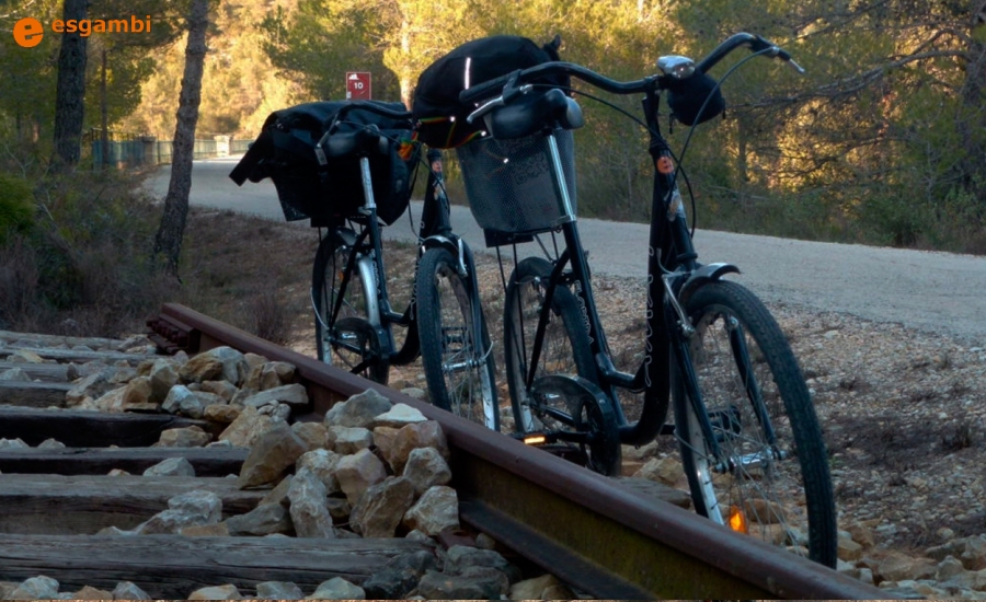 Esgambi: m�s de 20 a�os de actividades de naturaleza en las Terres de l&rsquo;Ebre | EbreActiu.cat, revista digital de ocio activo | Terres de l&rsquo;Ebre...