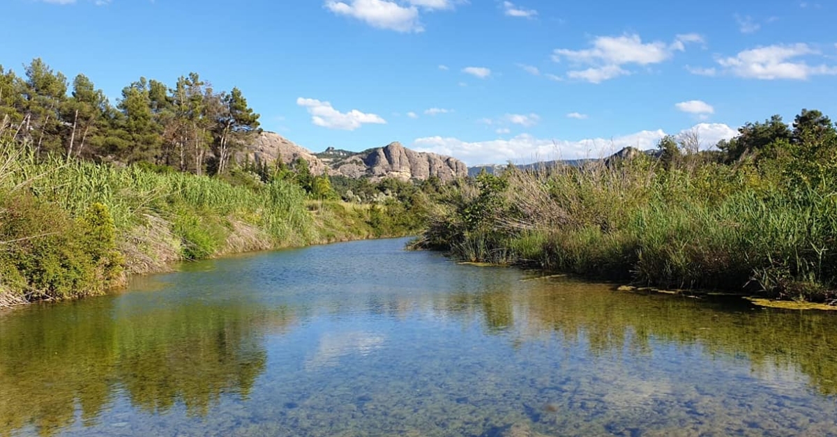 ESGAMBI | EbreActiu.cat, revista digital d&rsquo;oci actiu | Terres de l&rsquo;Ebre ...