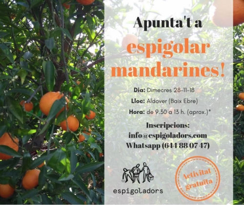 Apunta&rsquo;t a espigolar mandarines