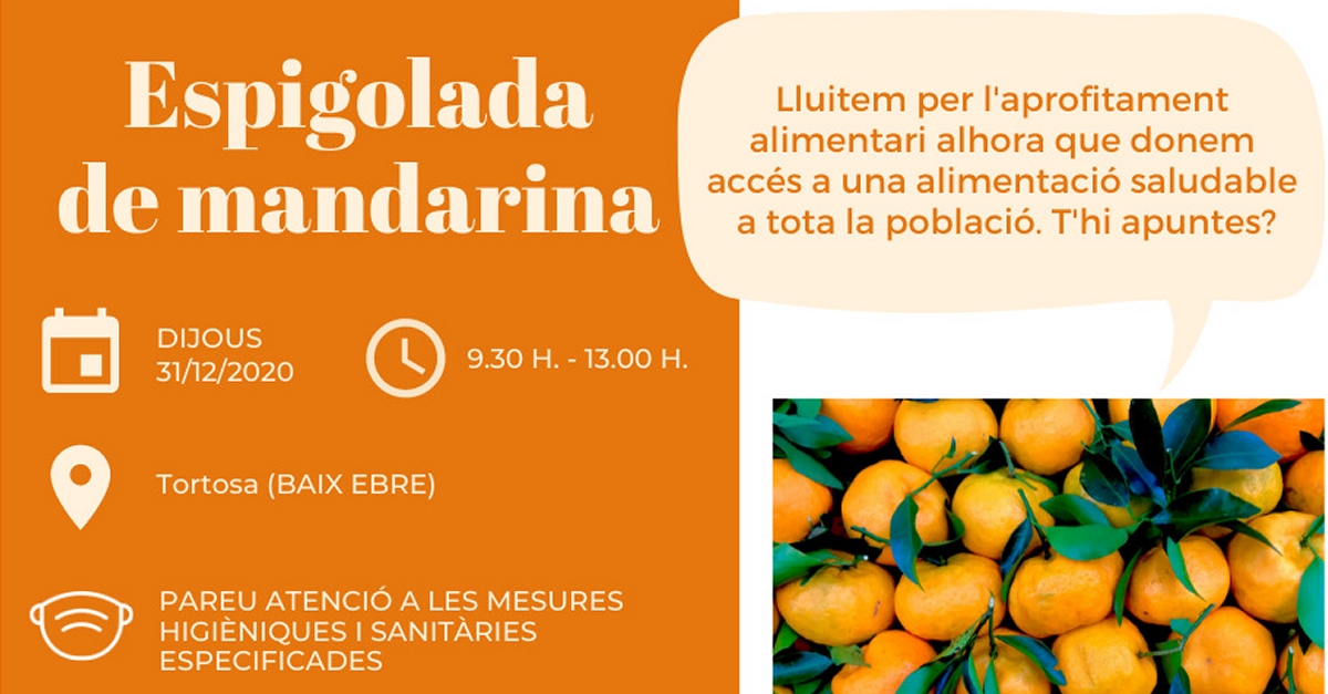 Espigolada de mandarina Espigolada de mandarina