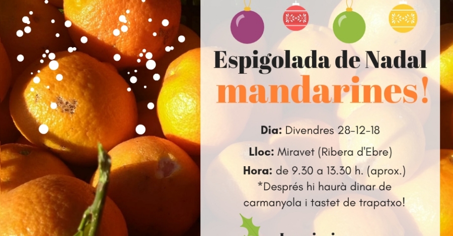 Apunta�t a espigolar mandarines