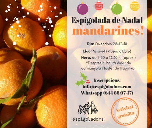 Apunta�t a espigolar mandarines