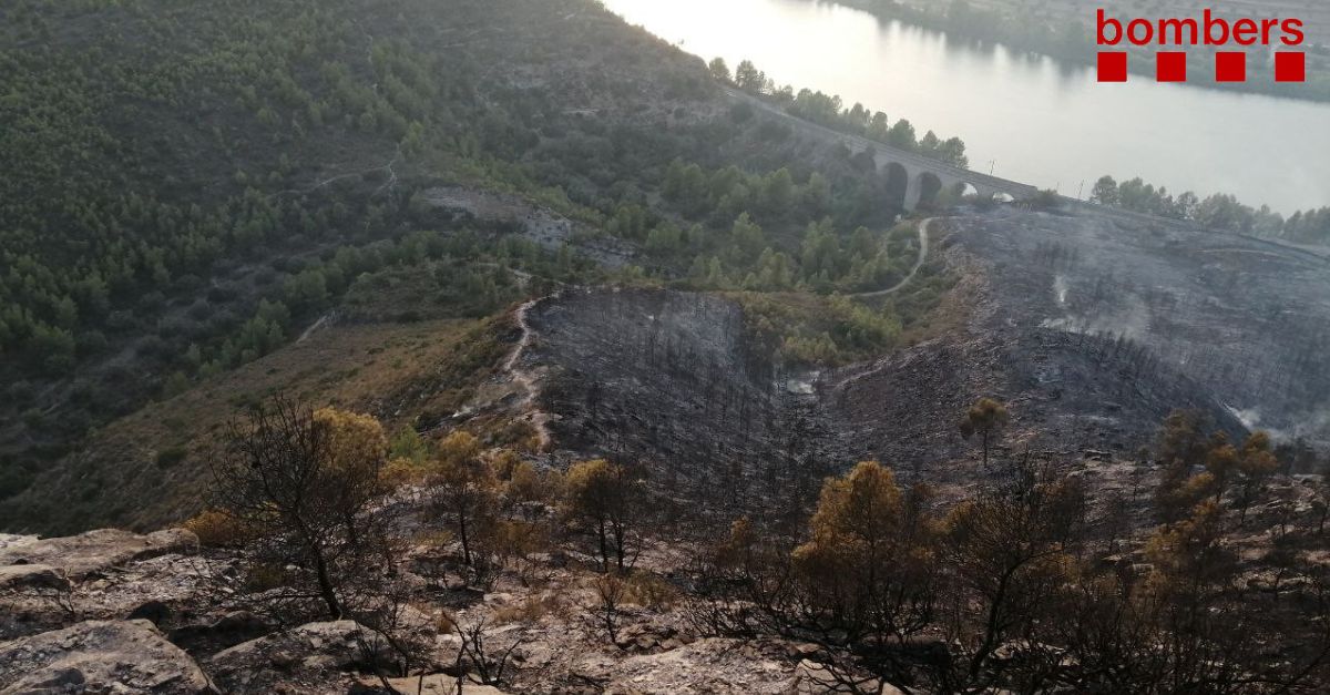Els Bombers ja tenen controlat lincendi de la Pobla de Massaluca