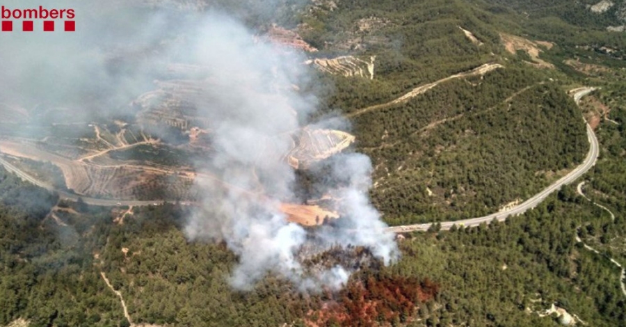 Estabilitzat l’incendi forestal de Tivissa | EbreActiu.cat, revista digital d’oci actiu | Terres de l’Ebre ...