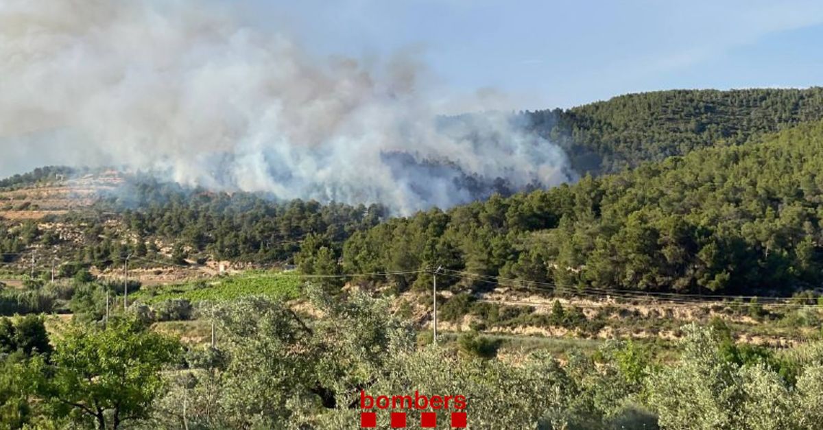 Extingit lincendi de Vilalba dels Arcs que ha cremat unes vuit hectrees