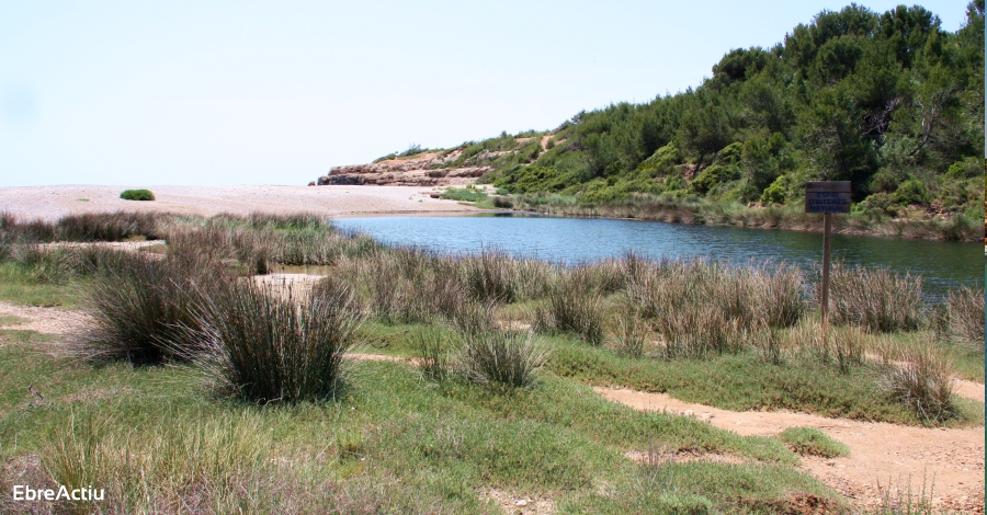 Un recorregut per les platges i cales de l&rsquo;Ametlla de Mar | EbreActiu.cat, revista digital d&rsquo;oci actiu | Terres de l&rsquo;Ebre ...