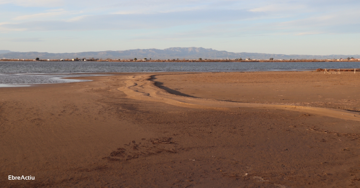 L’Estat "enriquir" el Pla de Protecci del Delta de l’Ebre amb les propostes i suggeriments del territori