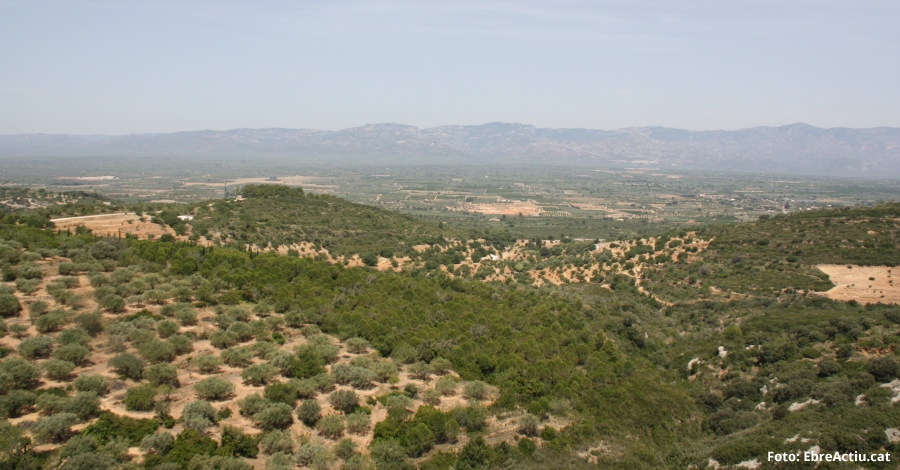 Estiu càlid i pluviomètricament irregular | EbreActiu.cat, revista digital d’oci actiu | Terres de l’Ebre ... Estiu càlid i pluviomètricament irregular | EbreActiu.cat, revista digital d’oci actiu | Terres de l’Ebre ...