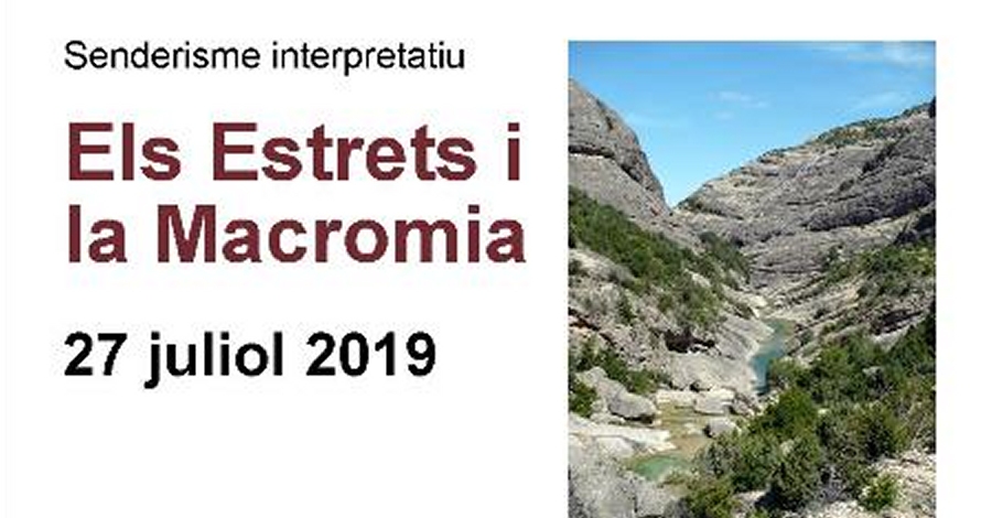 Els Estrets i la Macromia Els Estrets i la Macromia