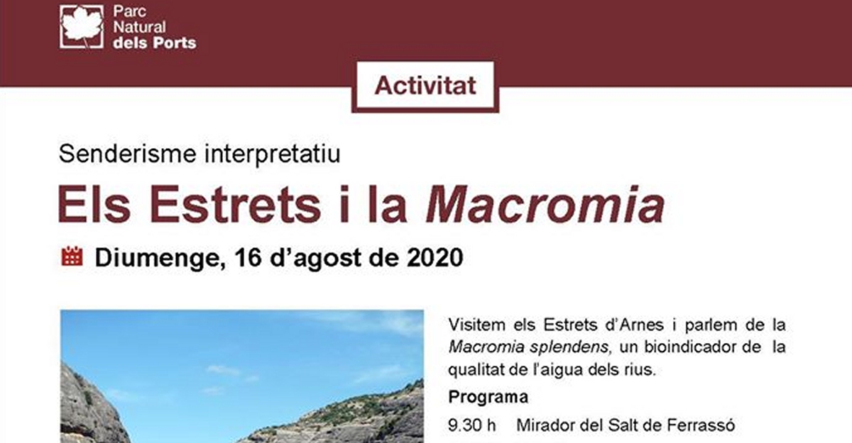 Sederismo interpretativo: Els Estrets y la macrom�a