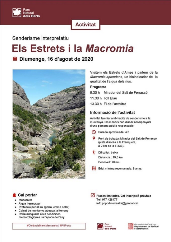 Sederisme interpretatiu: Els Estrets i la macromia Sederisme interpretatiu: Els Estrets i la macromia