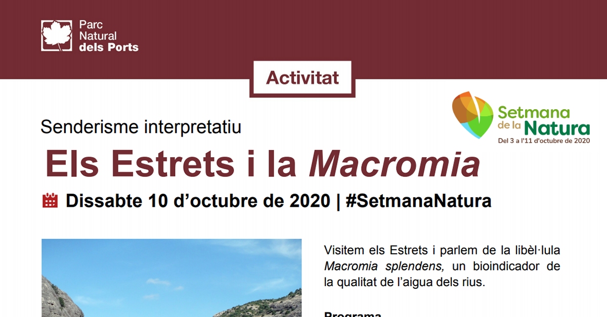 Els Estrets i la Macromia Els Estrets i la Macromia