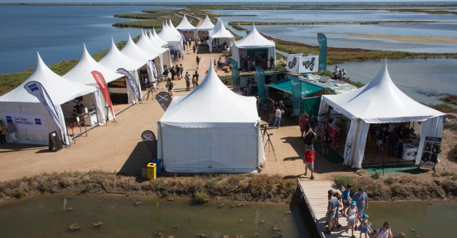 Delta Birding Festival, el nico festival ornitolgico de Catalunya
