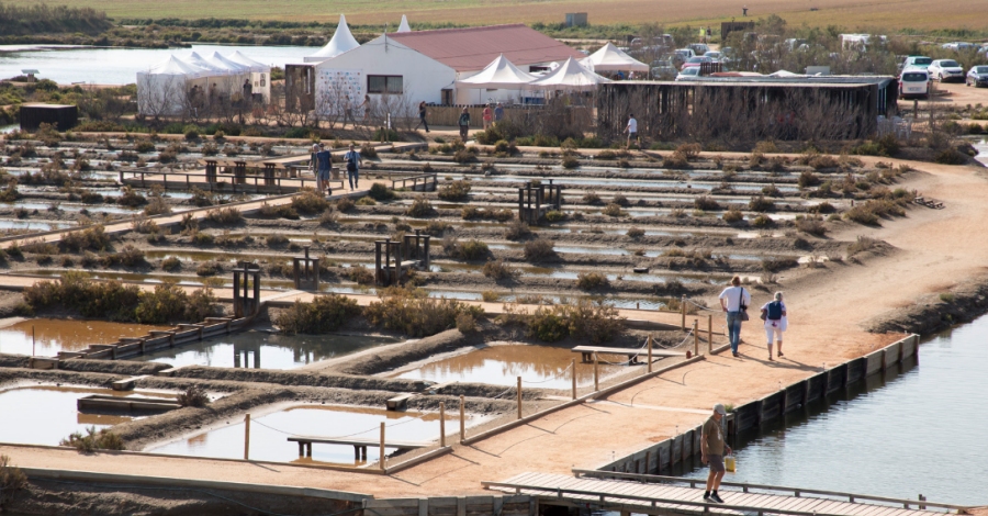 Delta Birding Festival, l&rsquo;�nic festival ornitol�gic de Catalunya. | EbreActiu.cat, revista digital d&rsquo;oci actiu | Terres de l&rsquo;Ebre ...