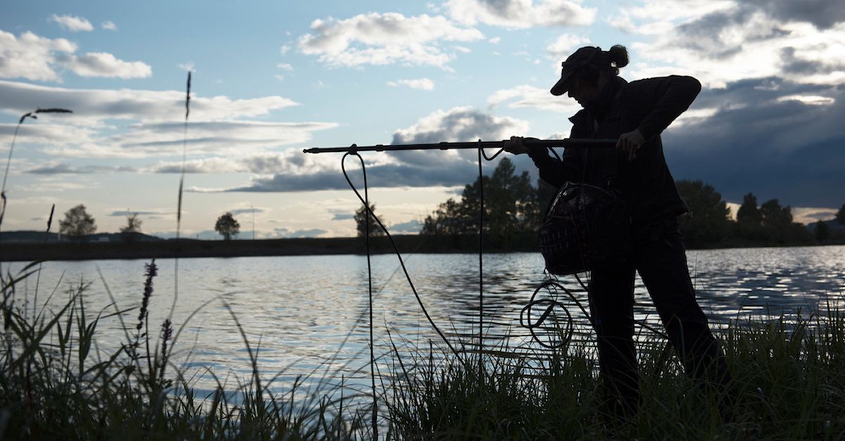 Eufònic 2023 celebra la 12a edició del 24 al 27 d’agost i anuncia els primers artistes | EbreActiu.cat, revista digital d’oci actiu | Terres de l’Ebre ... Eufònic 2023 celebra la 12a edició del 24 al 27 d’agost i anuncia els primers artistes | EbreActiu.cat, revista digital d’oci actiu | Terres de l’Ebre ...